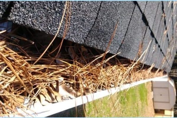 Gutter Cleaning in Wilmington DE, Gutter Cleaning in Hockessin DE, Gutter Cleaning in Garnet Valley PA, Gutter Cleaning in Kennett Square PA, Gutter Cleaning in Chadds Ford PA, Gutter Cleaning in Greenville DE, Gutter Cleaning in West Chester PA, Gutter Cleaning in Landenberg PA, Gutter Cleaning in Newark DE, Gutter Cleaning in New Castle DE, Gutter Cleaning in Avondale PA, Gutter Cleaning in North Star DE, Gutter Cleaning in Media PA, Gutter Cleaning in Elsmere DE, Gutter Cleaning in Pike Creek DE, Gutter Cleaning in Edgemoor DE, Gutter Cleaning in Claymont DE, Gutter Cleaning in Broomall PA, Gutter Cleaning in Downingtown PA, Gutter Cleaning in Coatesville PA